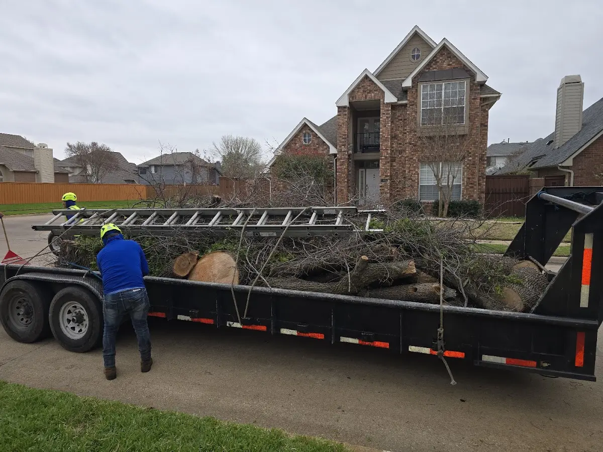 Expert Tree Fertilization with proper safety equipment in Revillo